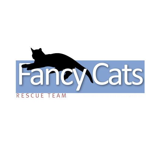 Fancy Cats Rescue Team