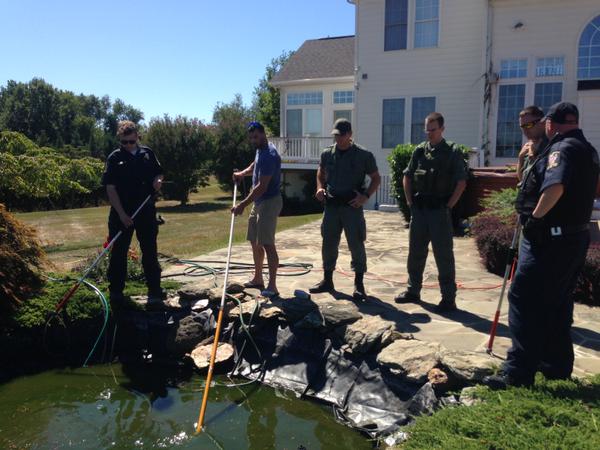 After three hours of draining the pond, officers were able to catch the alligator. (Courtesy Montgomery County police)