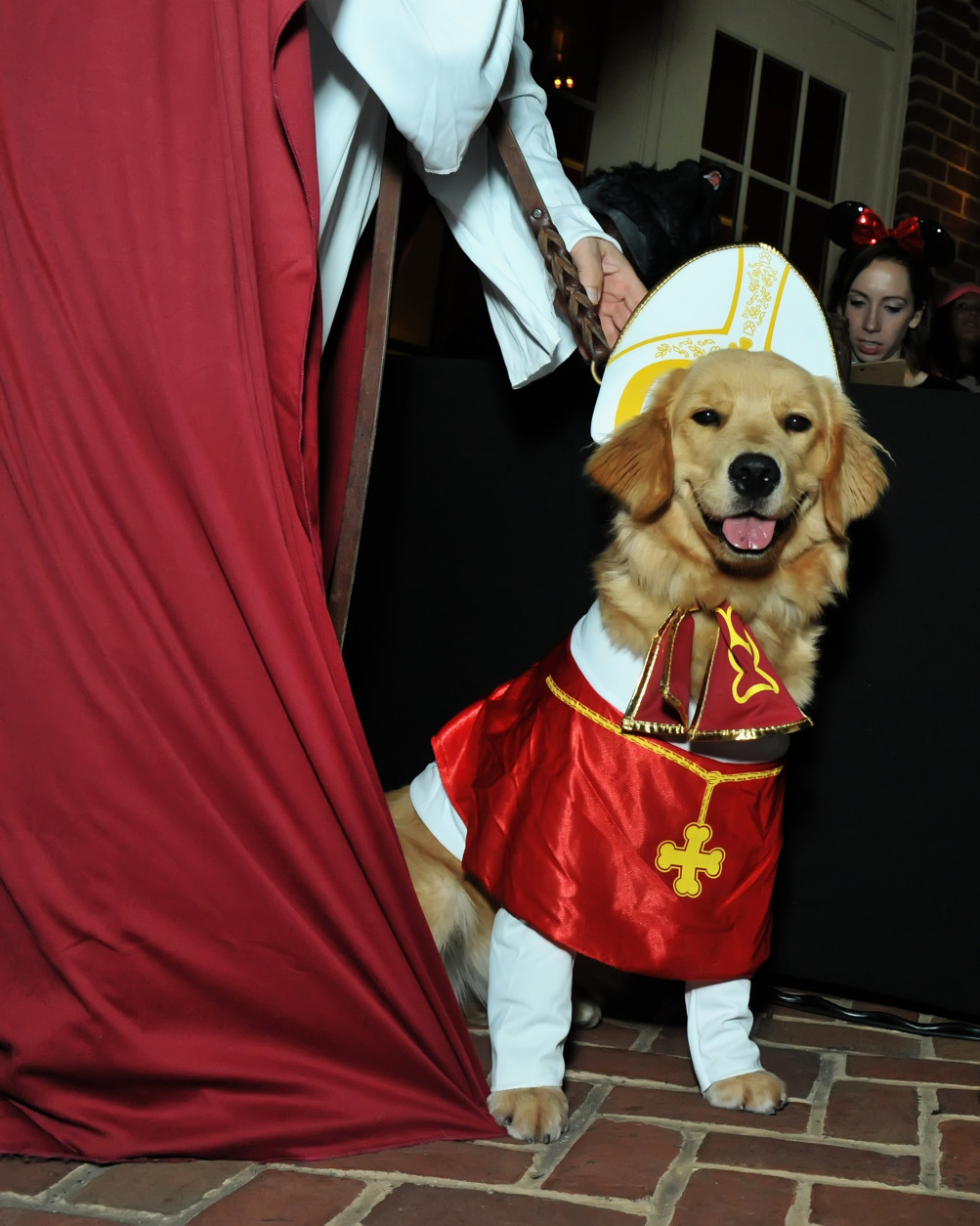 A papal puppy. (Shannon Finney Photography)