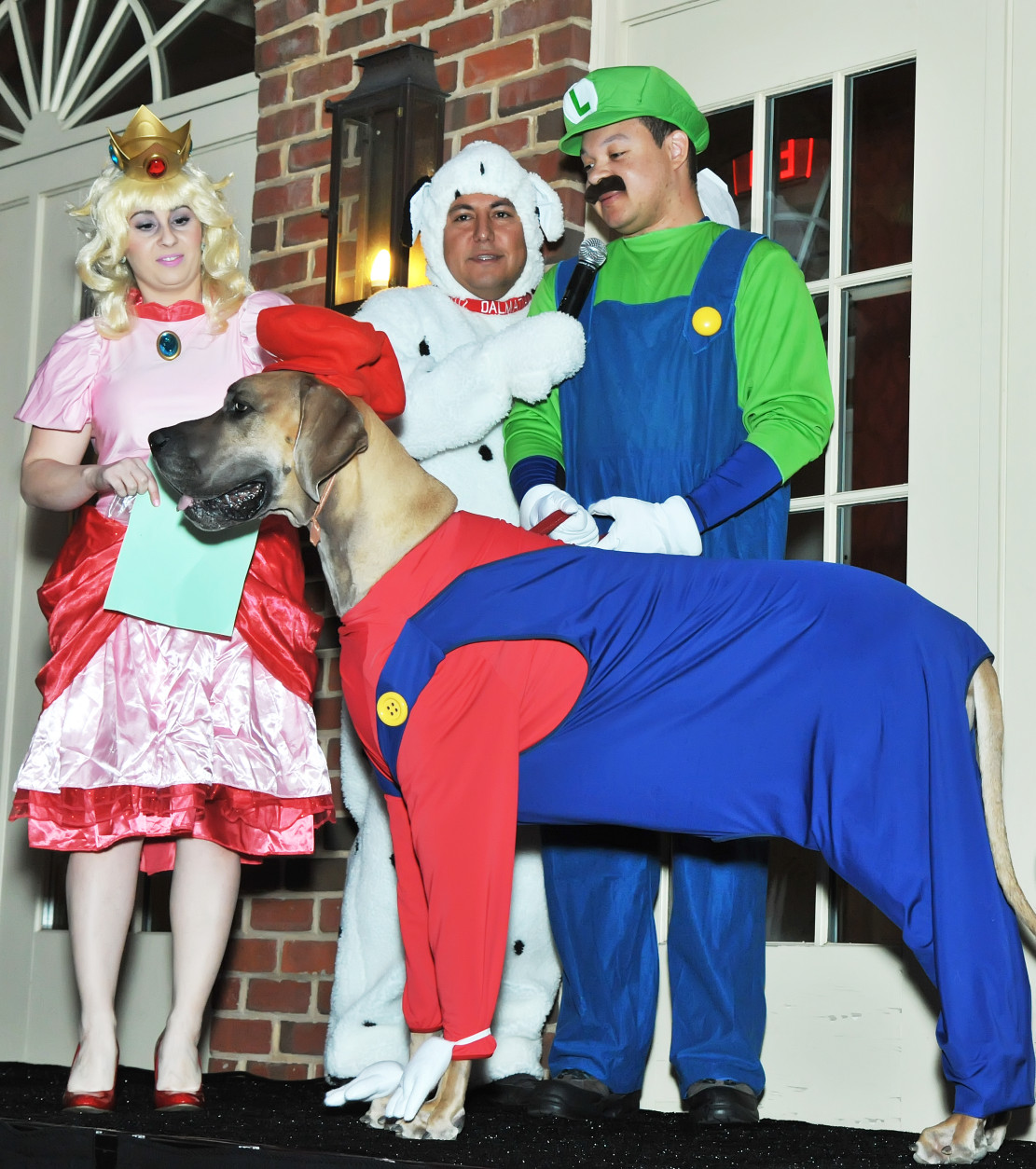 Stallone, a three-year-old Great Dane, dressed as Mario. (Shannon Finney Photography)