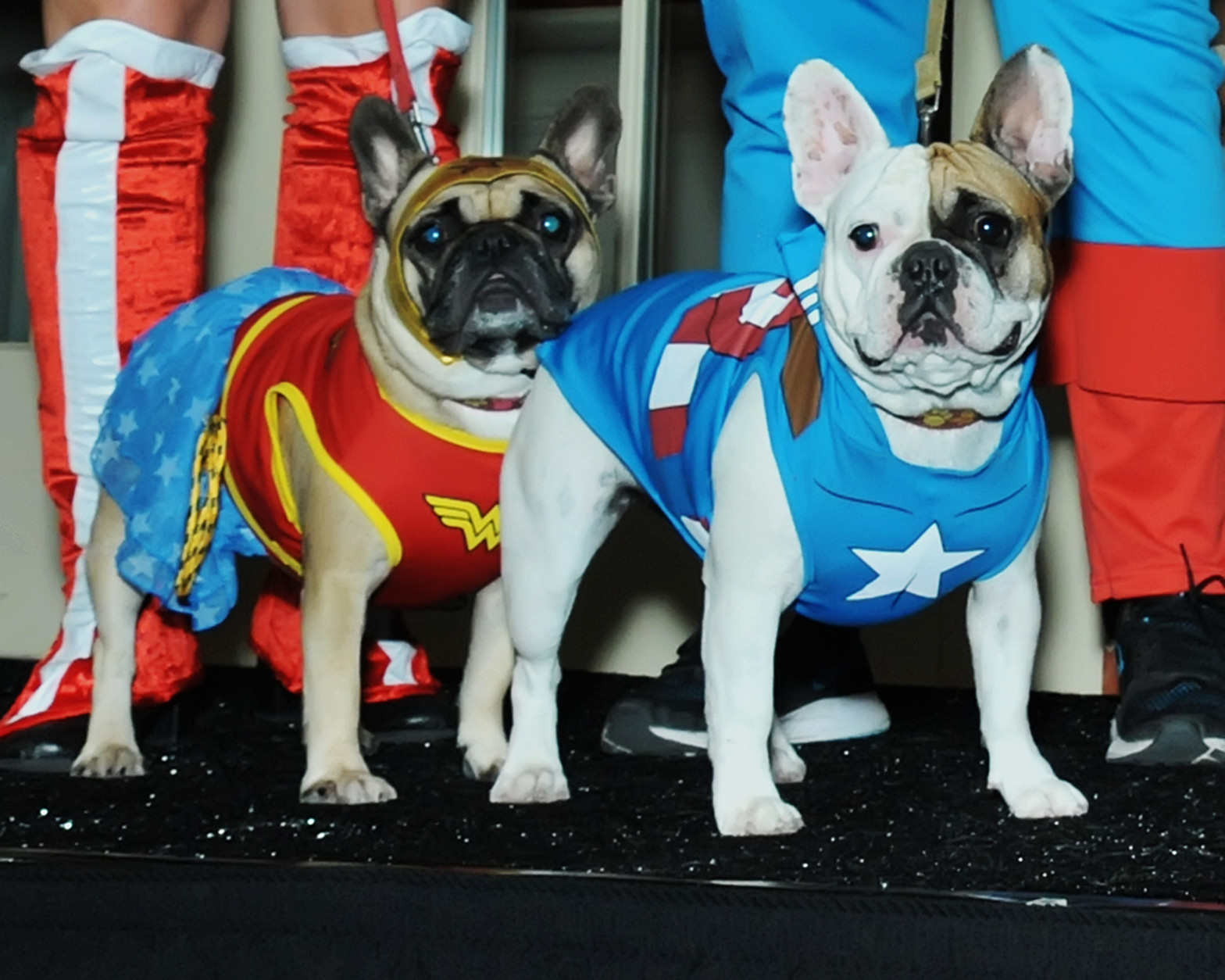 Original Super Friends Wonder Woman and Captain America. (Shannon Finney Photography)