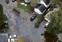 An oil sheen can be seen of floodwaters in a subdivision west of the Ashley river in Charleston, S.C., Monday, Oct. 5, 2015. The Charleston and surrounding areas are still struggling with floodwaters due to a slow moving storm system. (AP Photo/Mic Smith)