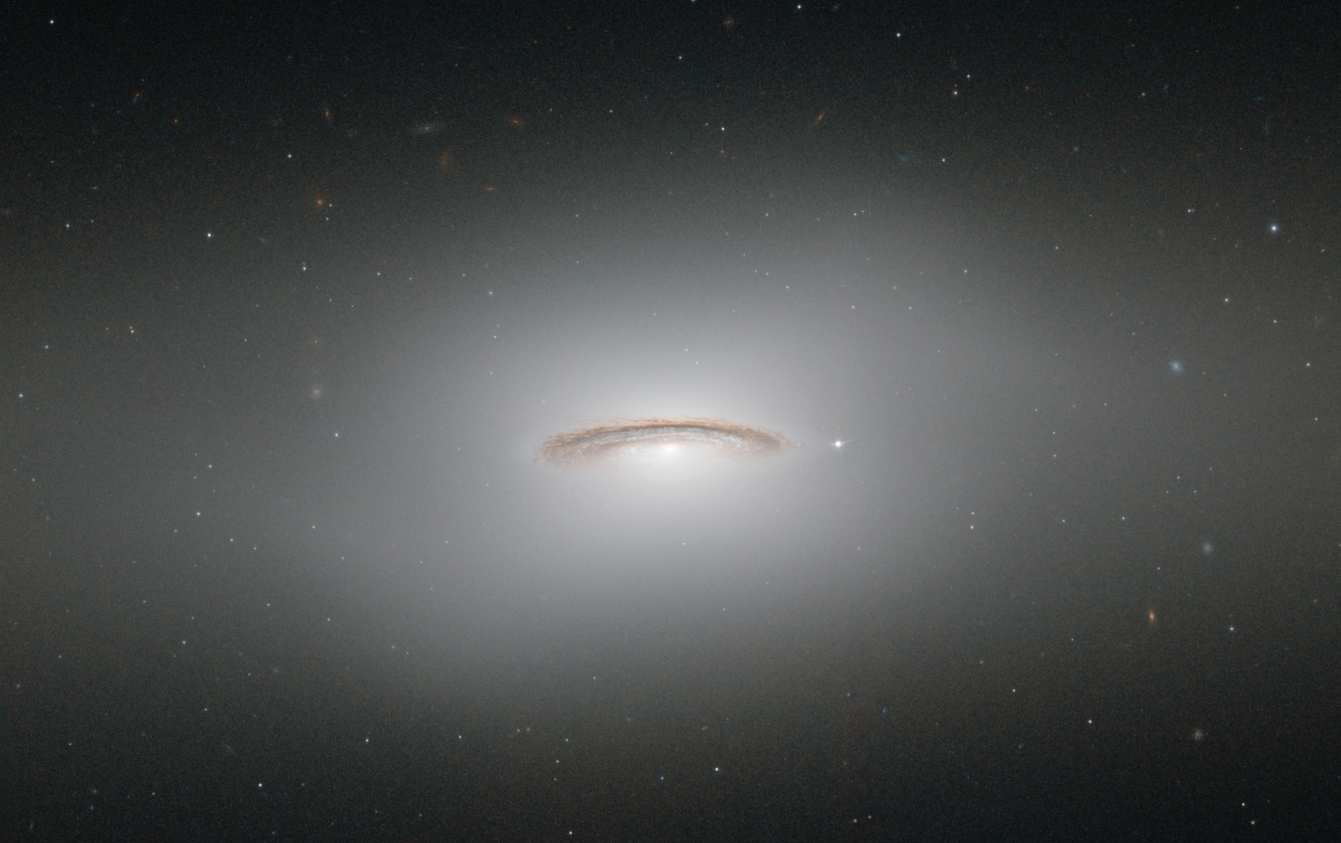 This image made by the NASA/ESA Hubble Space Telescope shows NGC 4526. One of the brightest lenticular galaxies known, it has hosted two known supernova explosions, one in 1969 and another in 1994, and is known to have a supermassive black hole at its center with a mass of 450 million Suns. NGC 4526 is part of the Virgo cluster of galaxies. A version of this image was entered into the Hubble's Hidden Treasures image processing competition by contestant Judy Schmidt during an initiative to invite astronomy enthusiasts to search the Hubble archive for notable images that have never been seen by the general public. The Hubble Space Telescope marks its 25th anniversary. A full decade in the making, Hubble rocketed into orbit on April 24, 1990, aboard space shuttle Discovery.  (ESA/Hubble &amp; NASA via AP)