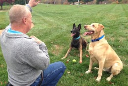 Chip and another bomb detection K-9, Charlie live with Fones, who has six adult children. (WTOP/Jamie Forzato)