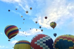Balloons track upward into the daylight. (WTOP/Noah Frank)