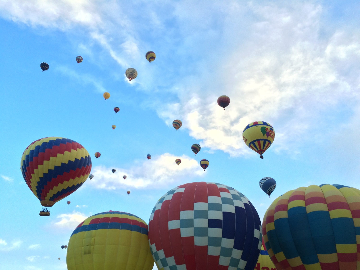 Balloons track upward into the daylight. (WTOP/Noah Frank)