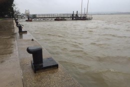 The Potomac River is up, but so far it is not spilling over near Waterfront Park. (WTOP/Mike Murillo)