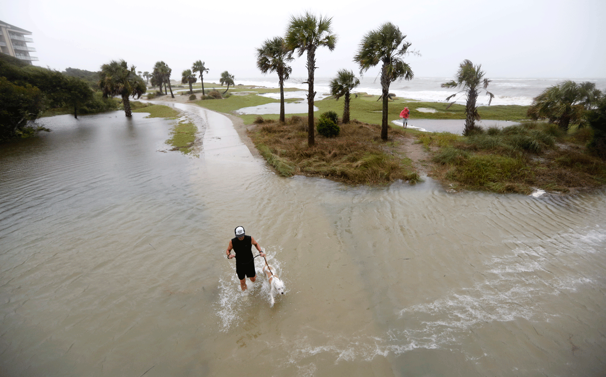 A man walks his dog through flood waters during high tide on the Isle of Palms, S.C., Saturday, Oct. 3, 2015. Rain pummeling parts of the East Coast showed little sign of slackening Saturday, with record-setting precipitation prolonging the soppy misery that has been eased only by news that powerful Hurricane Joaquin will not hit the U.S. (AP Photo/Mic Smith)