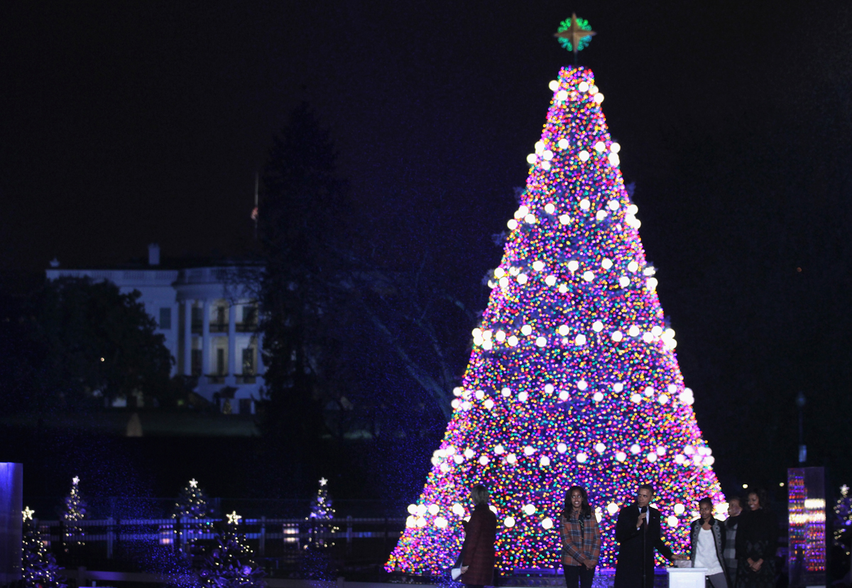 National Christmas Tree lighting lottery open this weekend