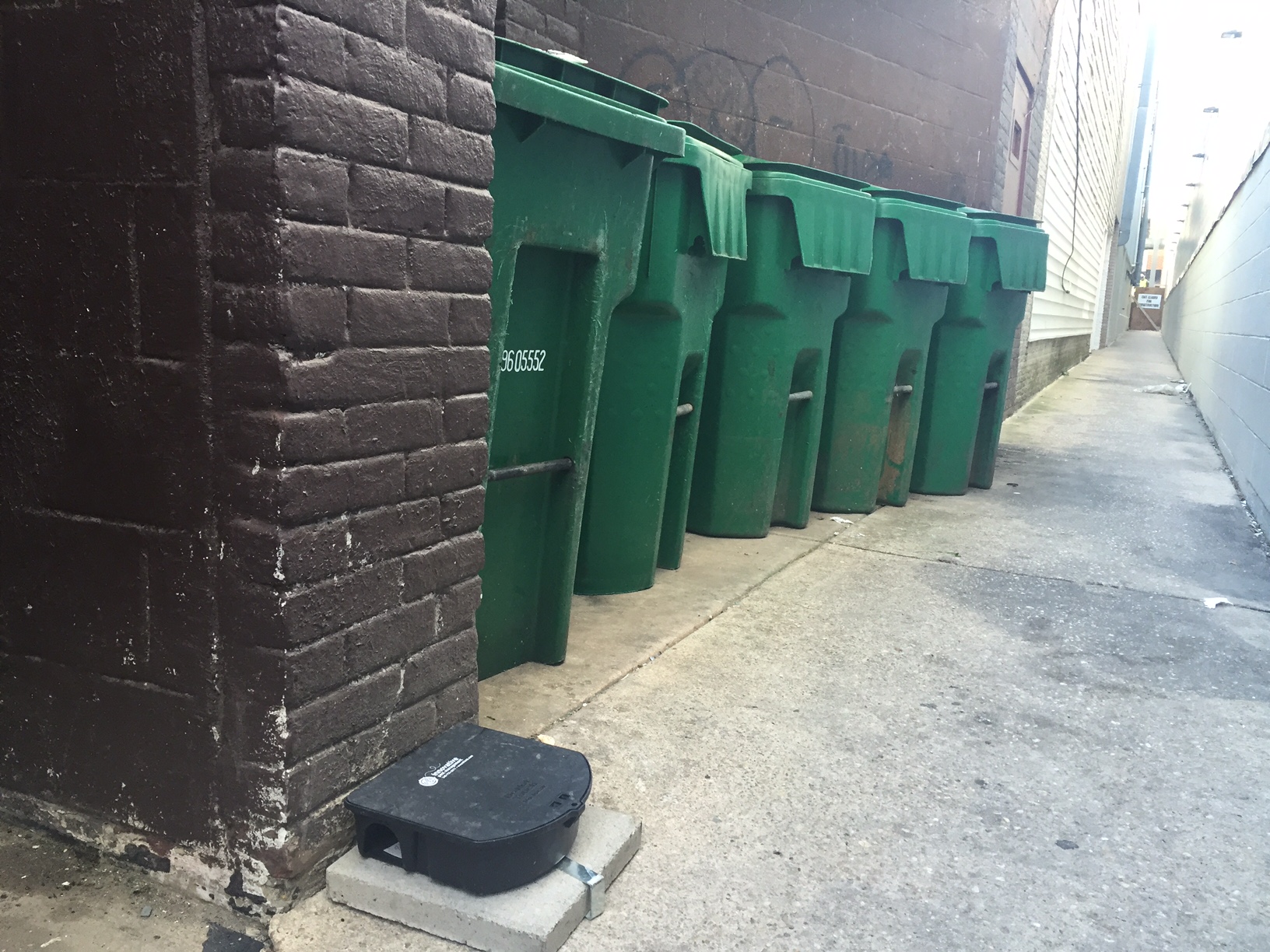 One owner says the rat issue has improved significantly in the past couple of weeks, thanks to efforts that include poisoning the rats and using stronger trash cans the rats cannot chew through. (WTOP/John Aaron)