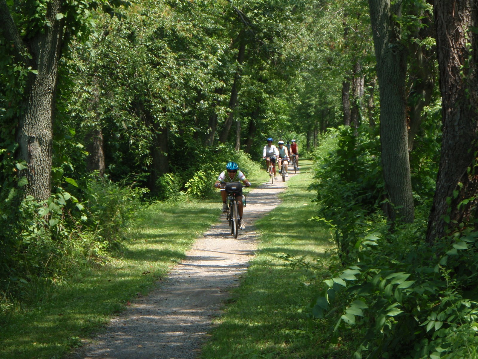 Cyclists bike through lush greenery on the C&O Canal towpath east of Cumberland, Md., Aug. 2, 2008. (AP Photo/Gerald Herbert)