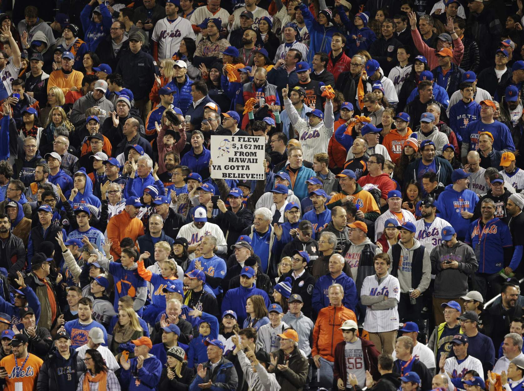 Spectators cheer during the seventh inning of Game 5 of the Major League Baseball World Series between the New York Mets and the Kansas City Royals Sunday, Nov. 1, 2015, in New York. (AP Photo/Julie Jacobson)