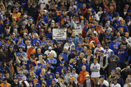 Spectators cheer during the seventh inning of Game 5 of the Major League Baseball World Series between the New York Mets and the Kansas City Royals Sunday, Nov. 1, 2015, in New York. (AP Photo/Julie Jacobson)