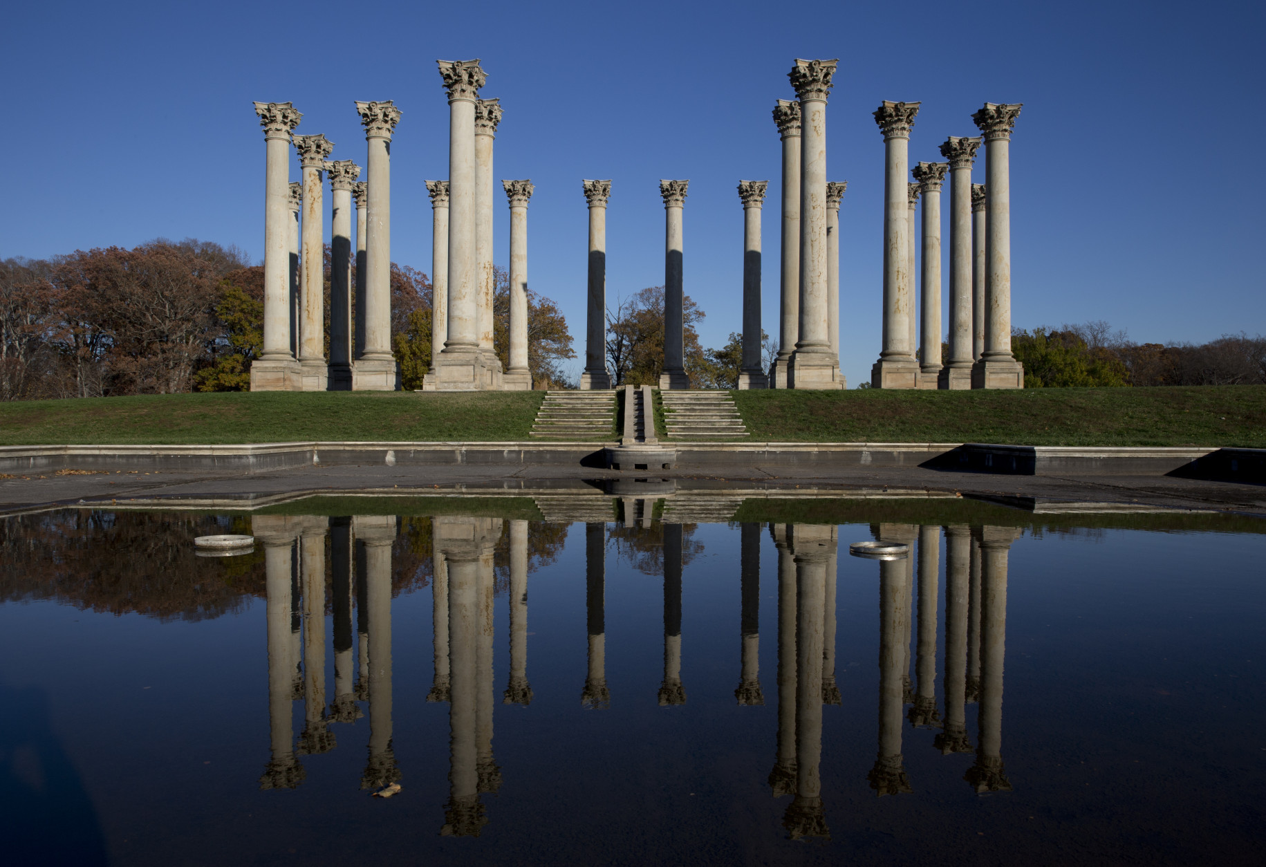 The U.S. Capitol's former columns still stand at the United States National Arboretum in Washington. (AP Photo/Carolyn Kaster)