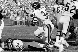 Chicago Bears' running back Walter Payton (34) is shown in action against the Minnesota Vikings, Oct. 19, 1980.  (AP Photo)