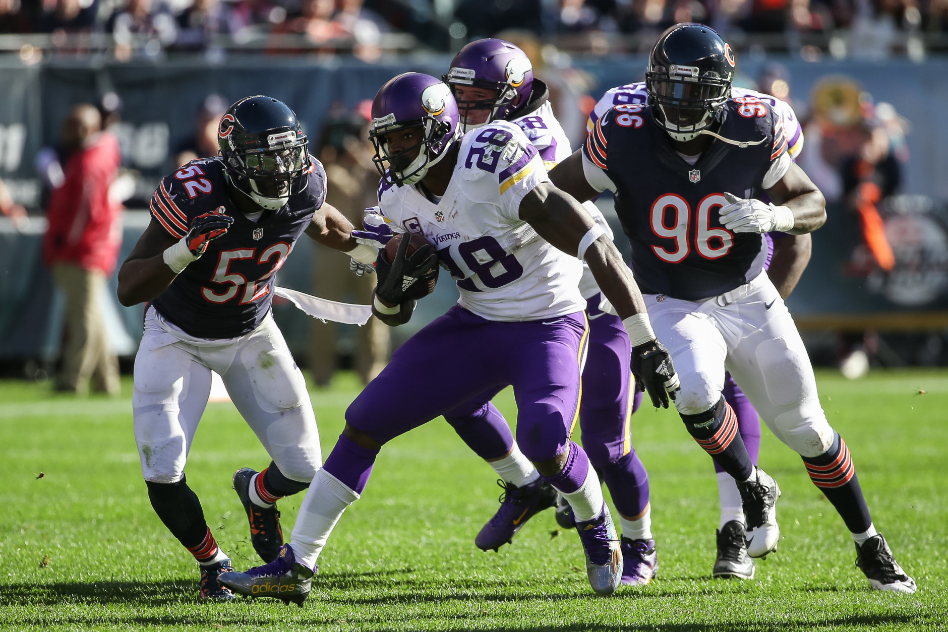 CHICAGO, IL - NOVEMBER 01:   Adrian Peterson #28 of the Minnesota Vikings carries the football against  LaRoy Reynolds #52 and  Jarvis Jenkins #96 of the Chicago Bears in the second quarter at Soldier Field on November 1, 2015 in Chicago, Illinois.  (Photo by Jonathan Daniel/Getty Images)