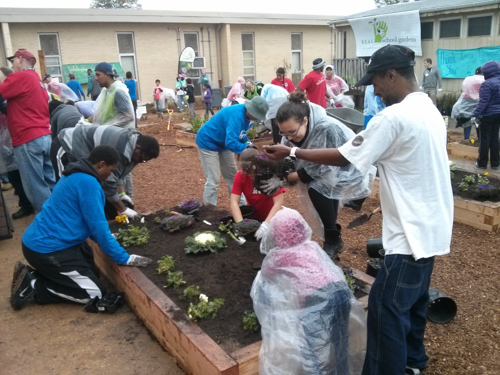 Over the past 10 years, REAL School Gardens has built 100 learning gardens in low-income areas across the nation, and the organization has plans to work with nine additional schools in the D.C. area in the upcoming year.  (Courtesy Elanor Wainscott) 