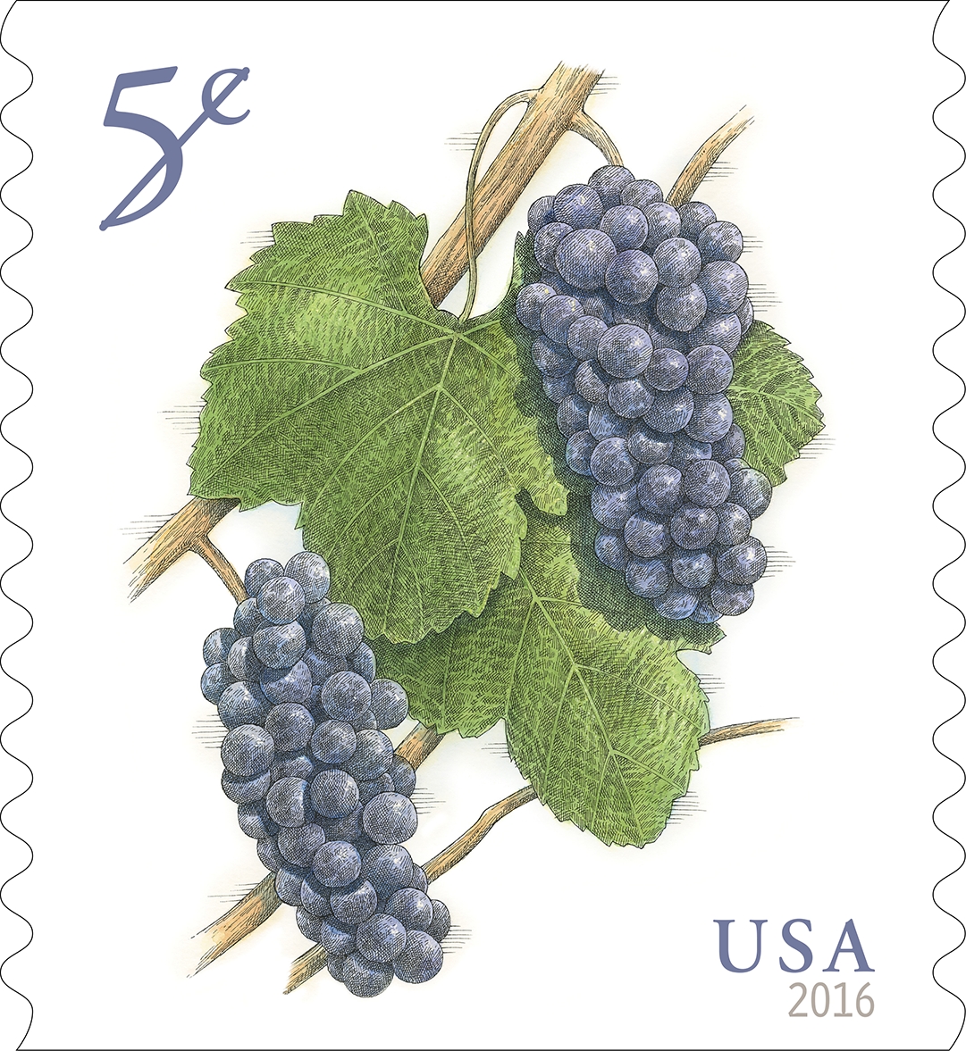 Grapes (&copy; 2016 USPS)