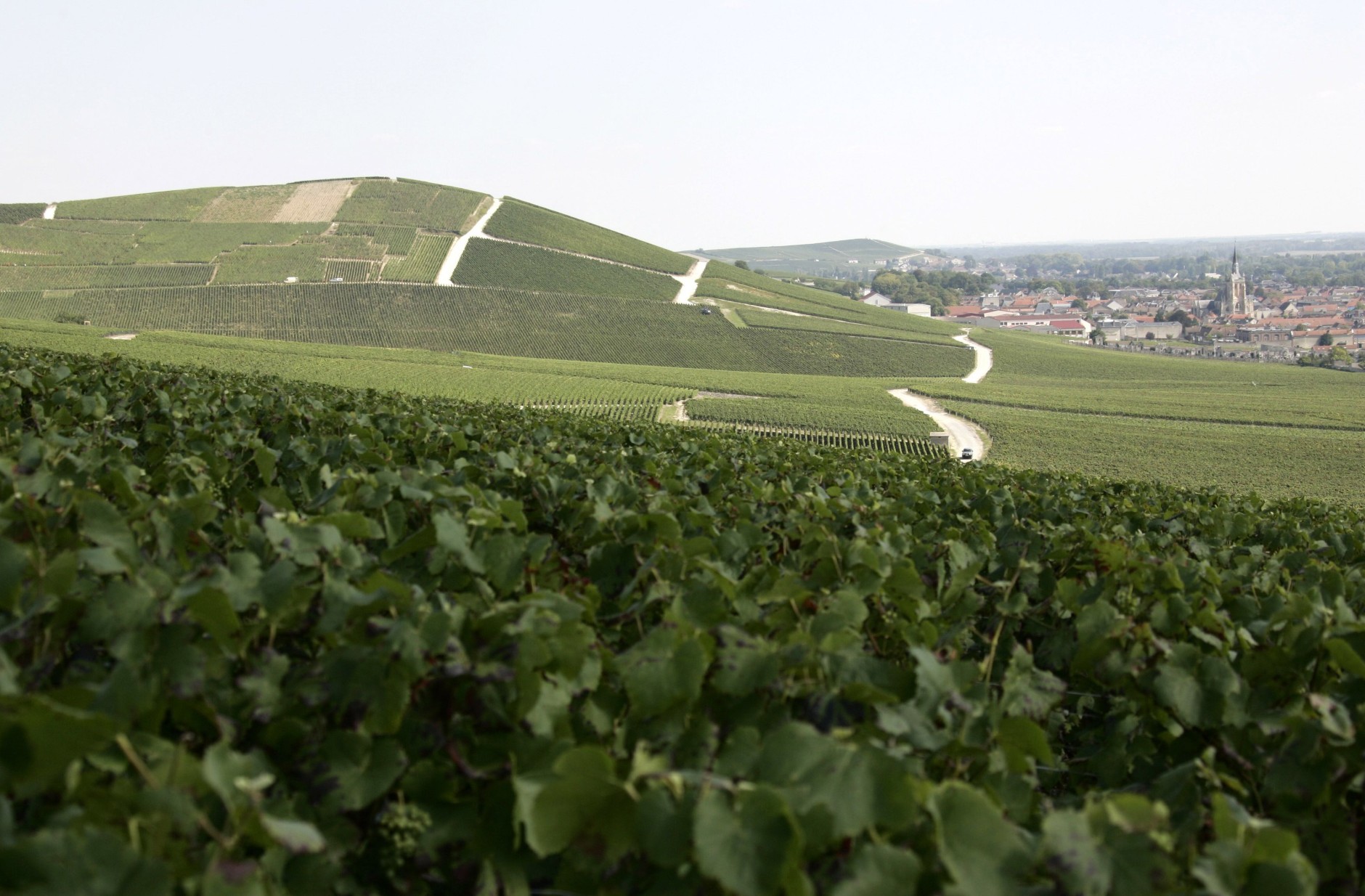 ** FILES ** A view of Champagne vineyards near Epernay, eastern France is seen in this Aug. 30, 2007 file photo. France's venerable body in charge of food and drink labels is looking into expanding the area where Champagne is made, amid growing global demand for the luxurious bubbly beverage. (AP Photo/Francois Mori, files)