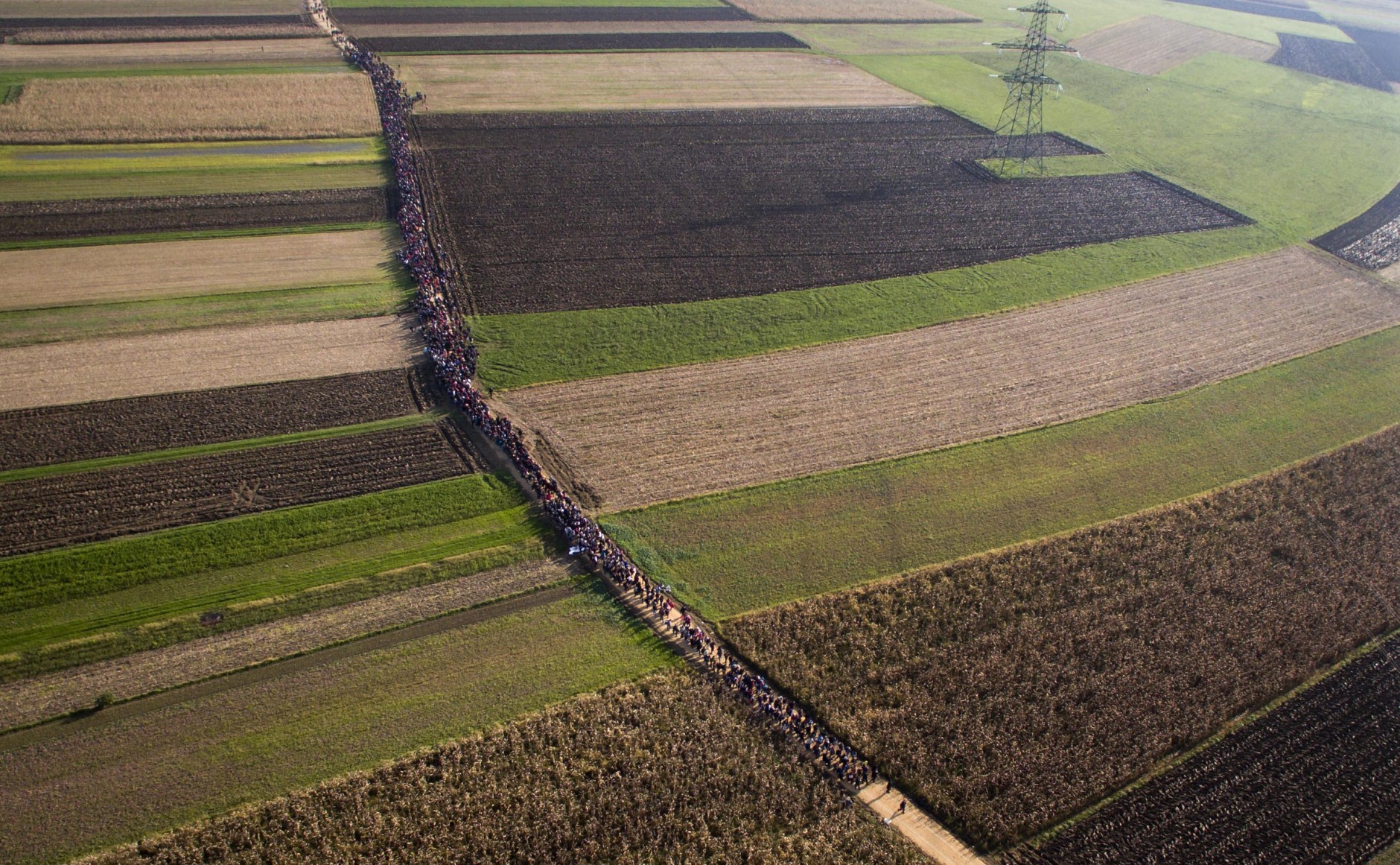 A column of migrants moves through fields after crossing from Croatia, in Rigonce, Slovenia, Sunday, Oct. 25, 2015. Thousands of people are trying to reach central and northern Europe via the Balkans, but often have to wait for days in mud and rain at the Serbian, Croatian and Slovenian borders. (AP Photo/Darko Bandic, File)