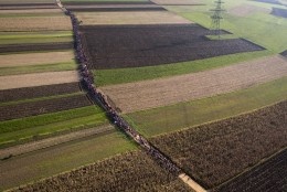 A column of migrants moves through fields after crossing from Croatia, in Rigonce, Slovenia, Sunday, Oct. 25, 2015. Thousands of people are trying to reach central and northern Europe via the Balkans, but often have to wait for days in mud and rain at the Serbian, Croatian and Slovenian borders. (AP Photo/Darko Bandic, File)