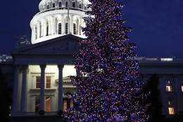Lights from the Capitol Christmas tree glow in Sacramento, Calif., Wednesday, Dec. 2, 2015.  Gov. Jerry Brown had canceled the official lighting ceremony to honor the victims and families of the mass shooting at a San Bernardino facility that includes a center that helps people with developmental disabilities. The 61-foot tall white fir tree is decorated with more than 10,000 LED lights and 900 hand-crafted ornaments made by children and adults with developmental disabilities who receive services from the state's development centers and nonprofit centers.(AP Photo/Rich Pedroncelli)