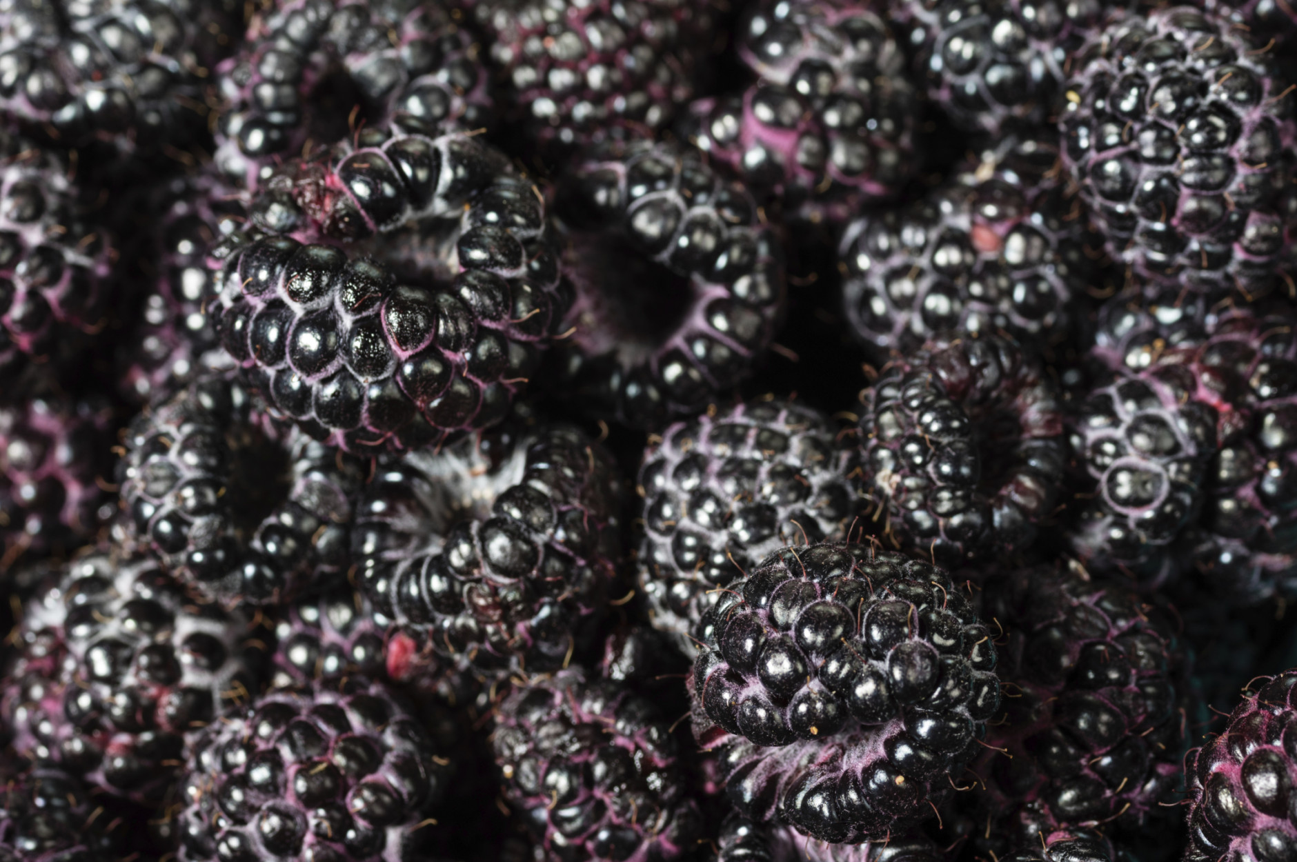 Research published in Open Chemistry says black raspberries have three times the antioxidants of red raspberries and blackberries. (Thinkstock)