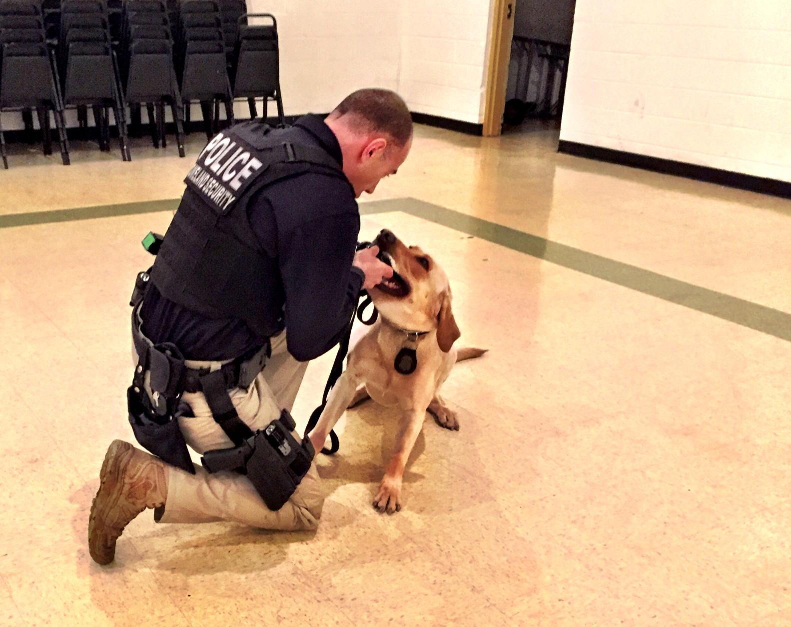 Bomb sniffing dogs from federal, state, and local agencies are being trained by Bureau of Alcohol, Tobacco, Firearms and Explosives, in Fairfax. (WTOP/Neal Augenstein)