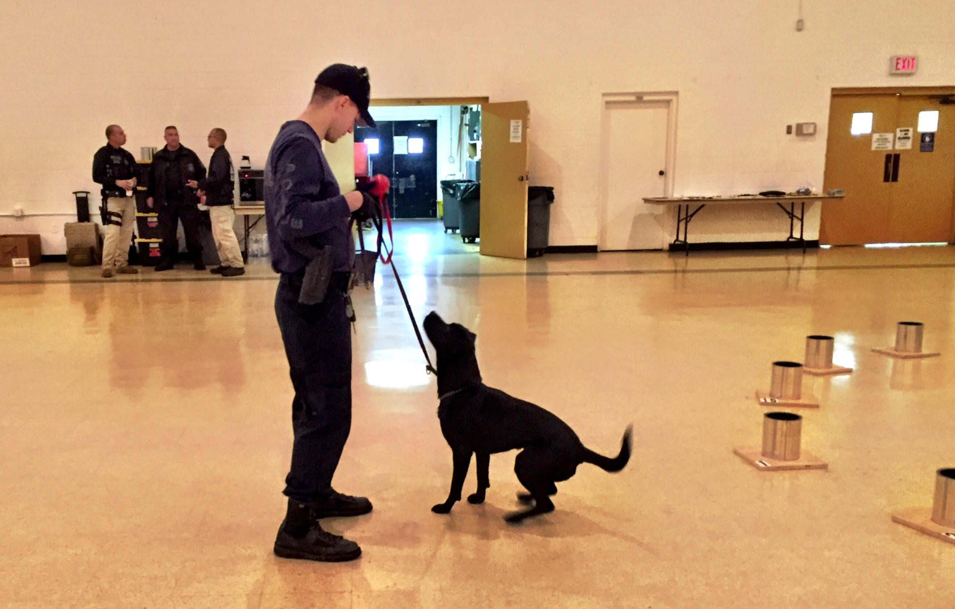 Bomb sniffing teams from almost 40 agencies took part in ATF's National Odor Recognition Testing in an auditorium in Fairfax (WTOP/Neal Augenstein)