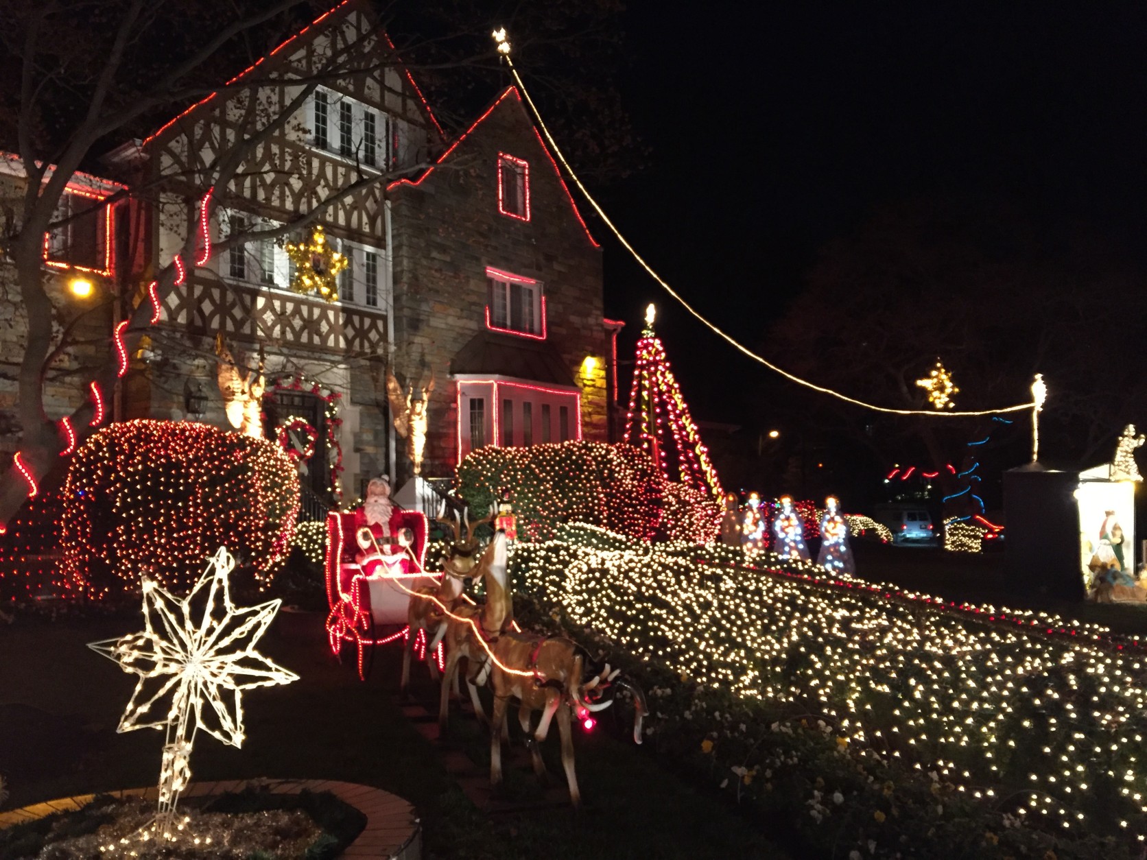 Yes, that's Santa and his reindeer (see Rudolph's nose?) in the front yard of this fantastically decorated house in D.C. (WTOP/Michelle Basch)