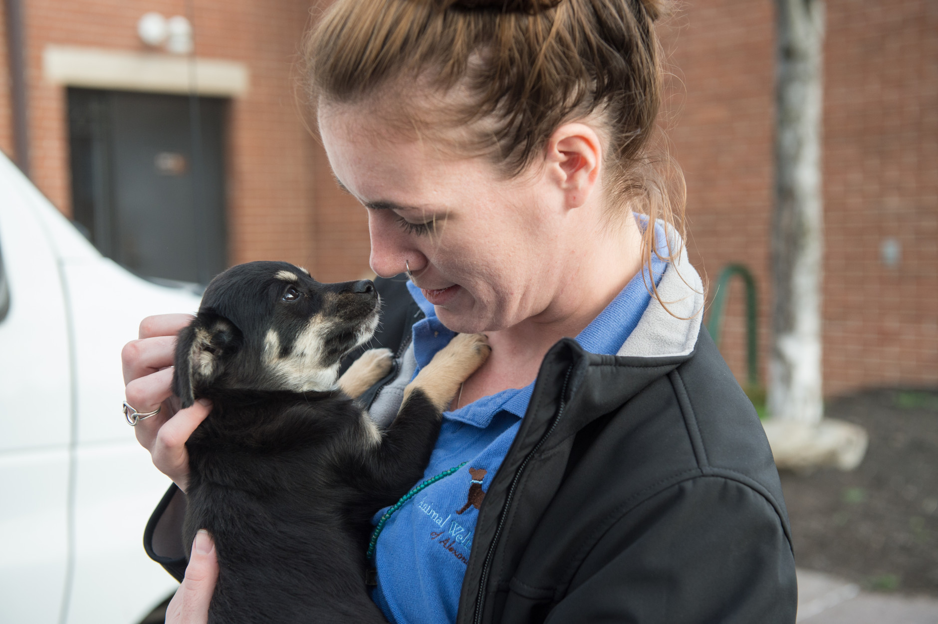 Dogs that arrived over the weekend from a dog meat farm in South Korea are picked up at the Washington Animal Rescue League by area shelters.

Here, a staff member from the Animal Welfare League of Alexandria gets kisses from Eve before transporting her to the shelter.