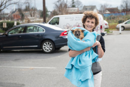 Dogs that arrived over the weekend from a dog meat farm in South Korea are picked up at the Washington Animal Rescue League by area shelters.

Here, a staff member of the Animal Welfare League of Arlington carries Gabriel to their vehicle for transport to the shelter. (Courtesy Meredith Lee/The HSUS)