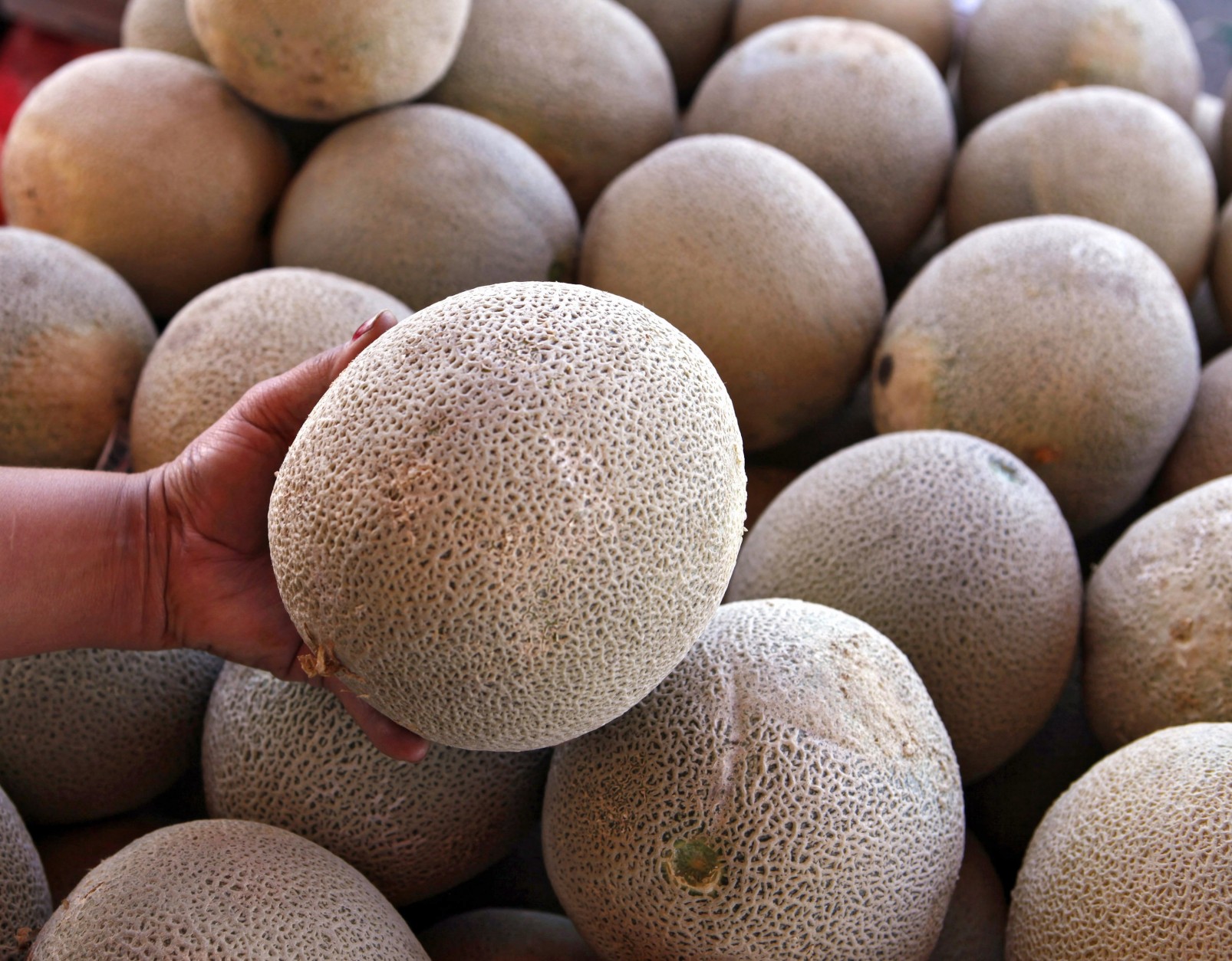 File - In this file photo, an operator of a fruit and vegetable stand holds a California-grown cantaloupe for sale at her business. (AP Photo/Ed Andrieski, file)