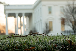 Frost is visible on the North Lawn of the White House, Sunday, Dec. 6, 2015, in early morning light in Washington. (AP Photo/Andrew Harnik)