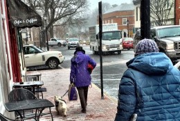 "One little dog decided he didn't walk in snow, so his owner is carrying him." (WTOP/Neal Augenstein)