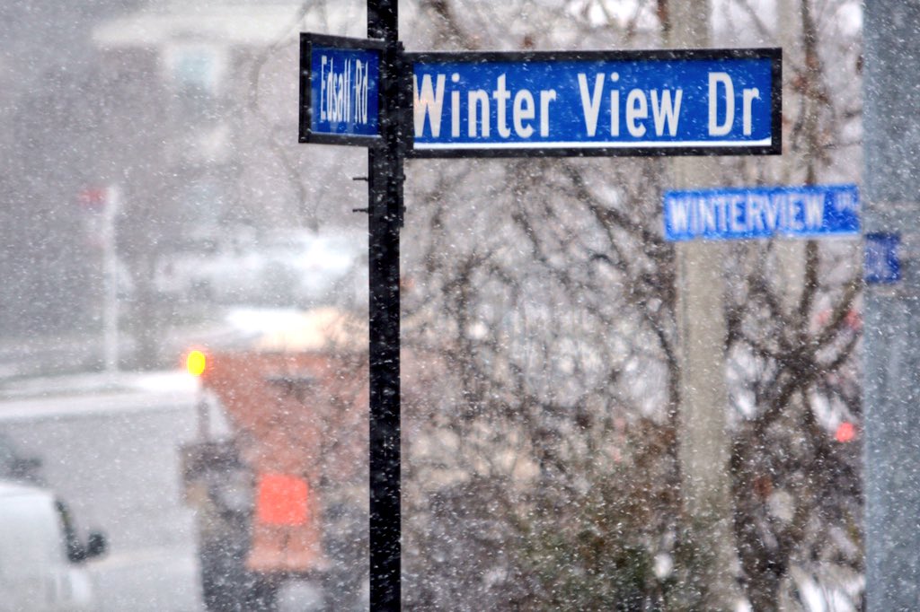 Steadier snow starts to fall in Alexandria, Virginia. (WTOP/Dave Dildine) 