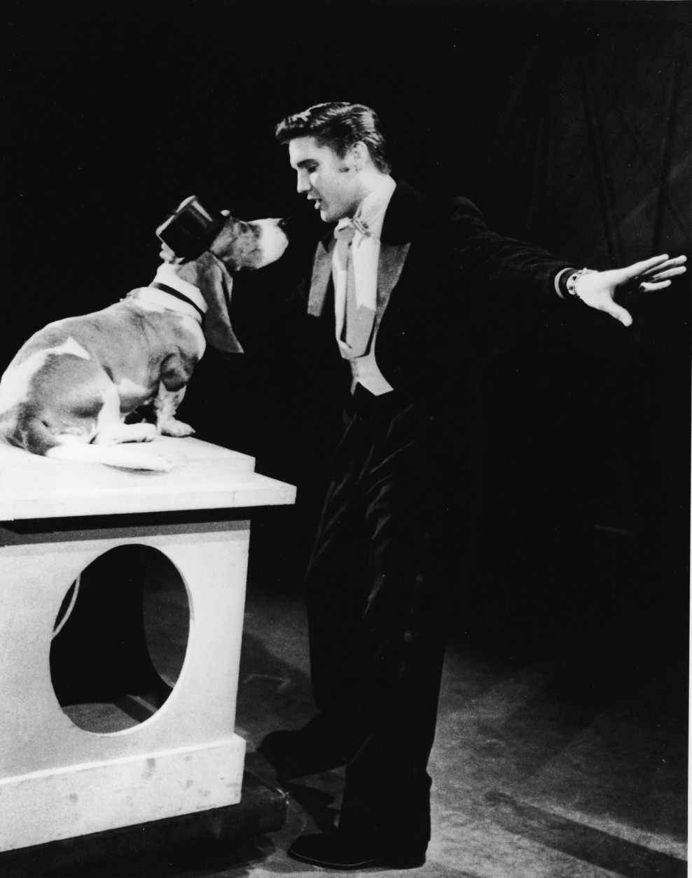 American rock singer Elvis Presley (1935 - 1977) serenades a basset hound in a top hat with the song, 'Hound Dog' on the set of 'The Steve Allen Show,' July 1956. (Photo by NBC Television/Getty Images)