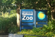 Government Shutdown FAQ: If funding lapses, will Smithsonian museums and zoo close?