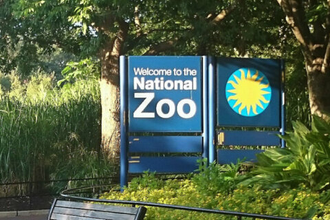 ‘No hazardous materials’ found after National Zoo evacuated over bomb threat