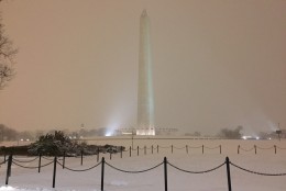 A snowy view of Washington Monument as a major storm moves into the District on Friday, Jan. 22, 2016. (WTOP/Kyle Cooper)