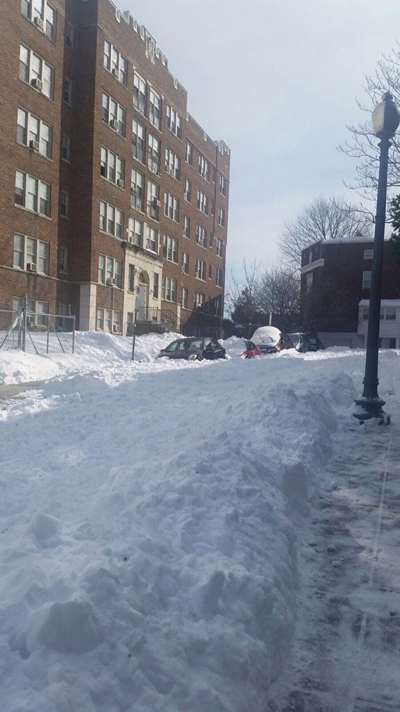 Oak Street in NW D.C. sits covered in snow. (Courtesy Twitter/Sahar Shafqat)