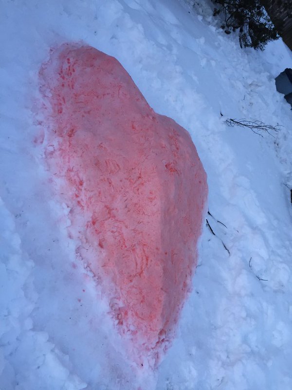A boyfriends designs a "snow heart" for his girlfriend. (Courtesy Twitter/@nittunisia)