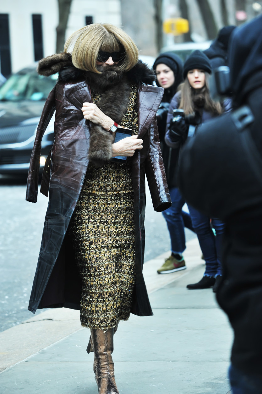 American Vogue editor in chief Anna Wintour braves the cold and the photographers. (© 2016 Shannon Finney Photography)