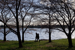 Two women are silhouetted by the Potomac River as they walk past cherry blossom trees that are not quite in bloom near the tidal basin in Washington, Monday, March 21, 2016. The cherry blossom trees are expected to hit peak bloom later this week, despite current cold temperatures, according to the National Park Service. (AP Photo/Jacquelyn Martin)