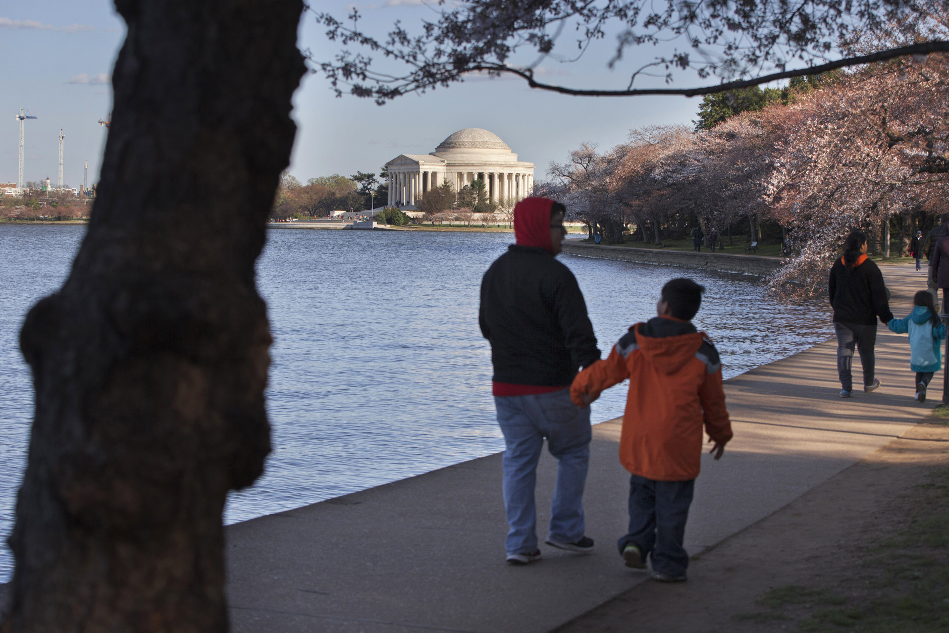 With the Jefferson Memorial in the background, bundled up families walk past cherry blossom trees along the tidal basin in Washington, Monday, March 21, 2016. The trees are expected to hit peak bloom later this week, despite current cold temperatures, according to the National Park Service. (AP Photo/Jacquelyn Martin)