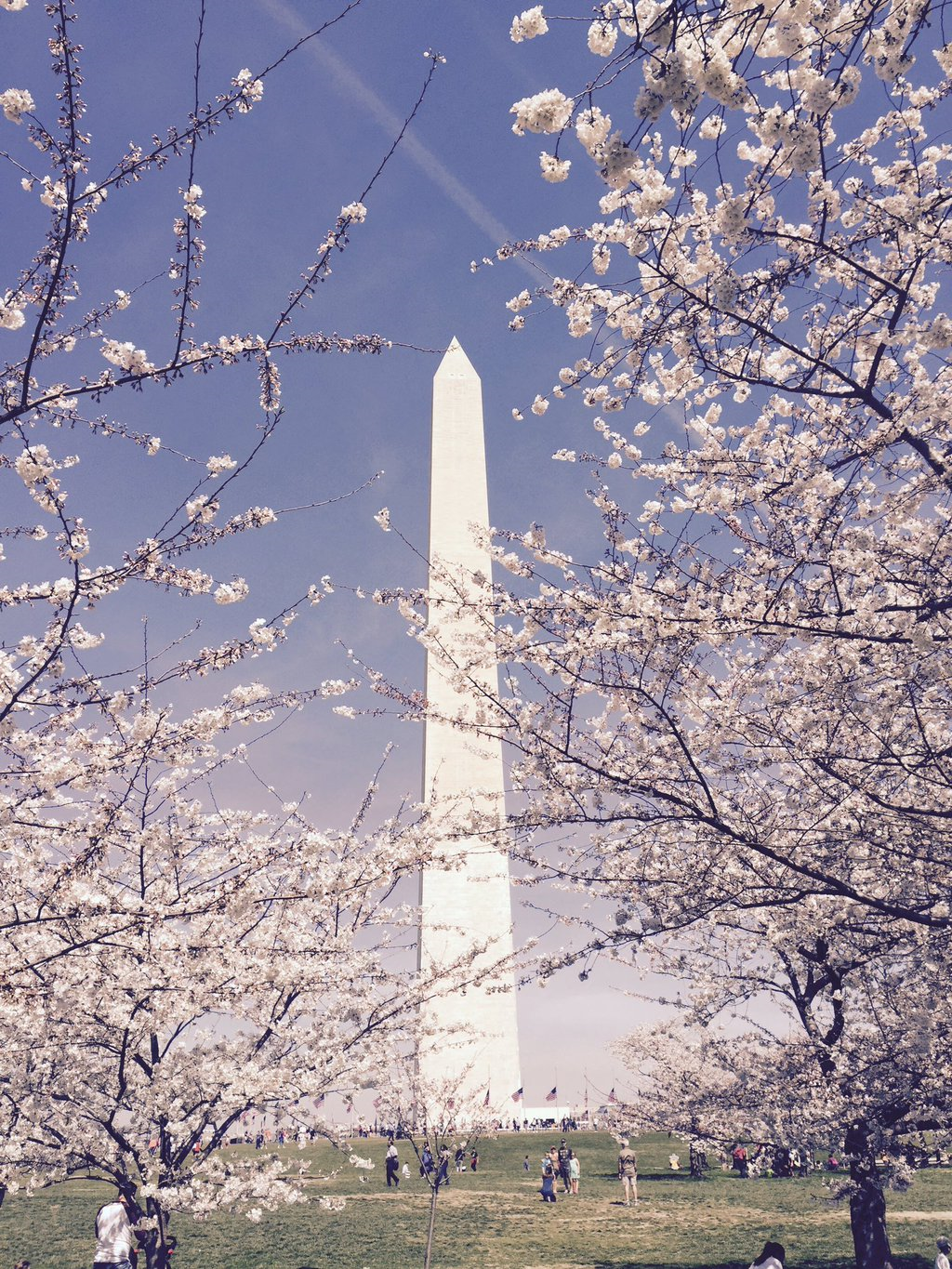 Washington Monument to reopen Sunday