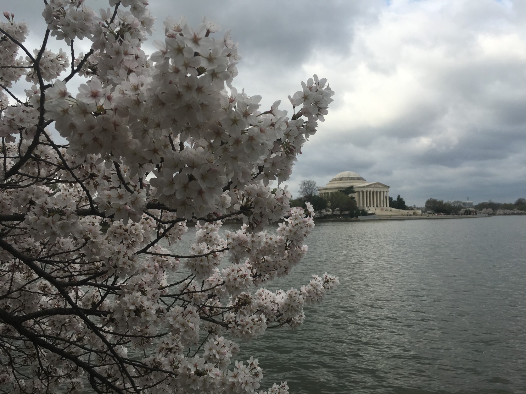The view from the Tidal Basin shortly before 10 a.m. March 25, 2016. (WTOP/Rahul Bali)
