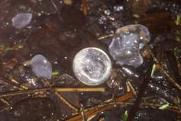 Hail was marble- to dime-sized in Tenleytown. Largest hail stone was about the size of a nickel. (WTOP/Dave Dildine)