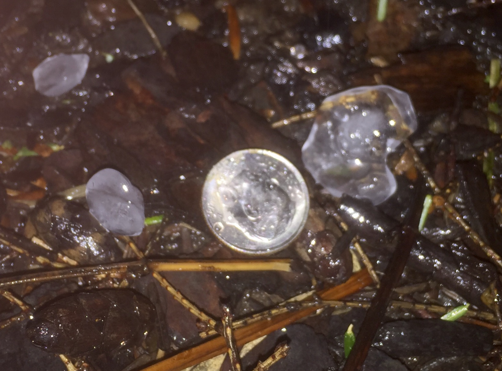 Hail was marble- to dime-sized in Tenleytown. Largest hail stone was about the size of a nickel. (WTOP/Dave Dildine)