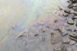 A rainbow-colored oil film can still be seen in the water near Gravelly Point Park. (WTOP/Mike Murillo)